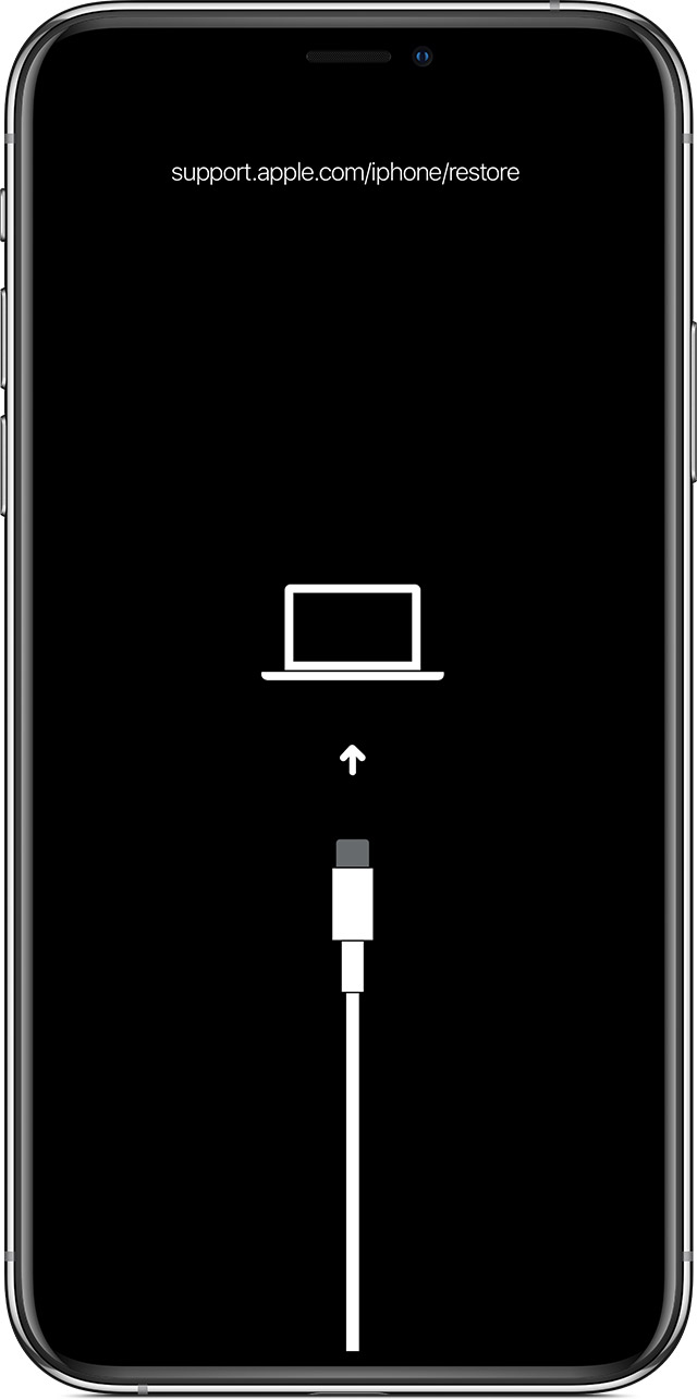 洛扎苹果手机维修分享iPhone 输入锁屏密码出现方框，且原密码不正确怎么办 