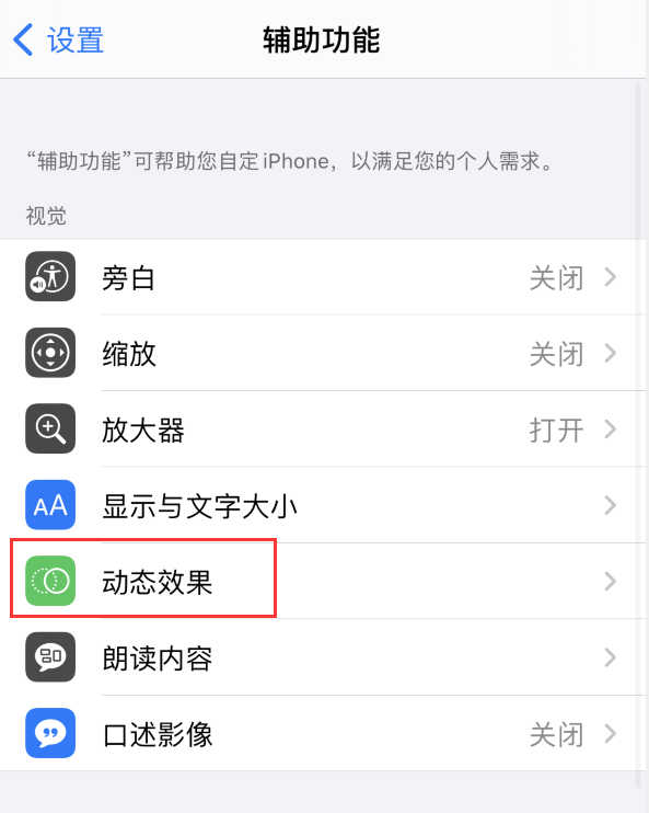 洛扎苹果手机维修分享iPhone 12 退出应用时没有动画显示，如何设置 