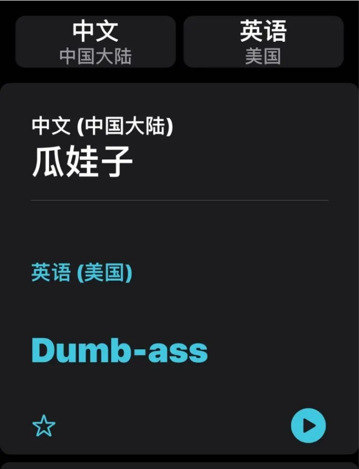 洛扎苹果手机维修分享iOS14的“翻译太懂了”怎么用 